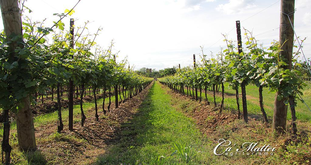 Agriturismo Ca'Mattei Pescantina Exteriör bild