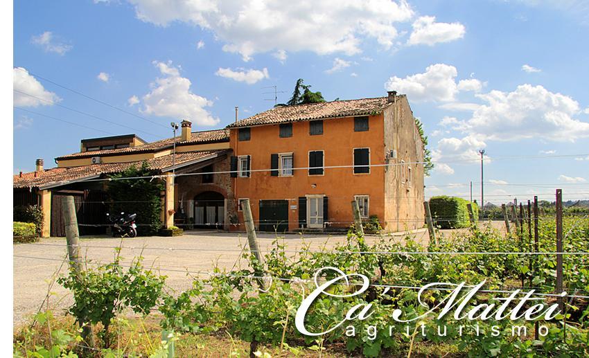 Agriturismo Ca'Mattei Pescantina Exteriör bild