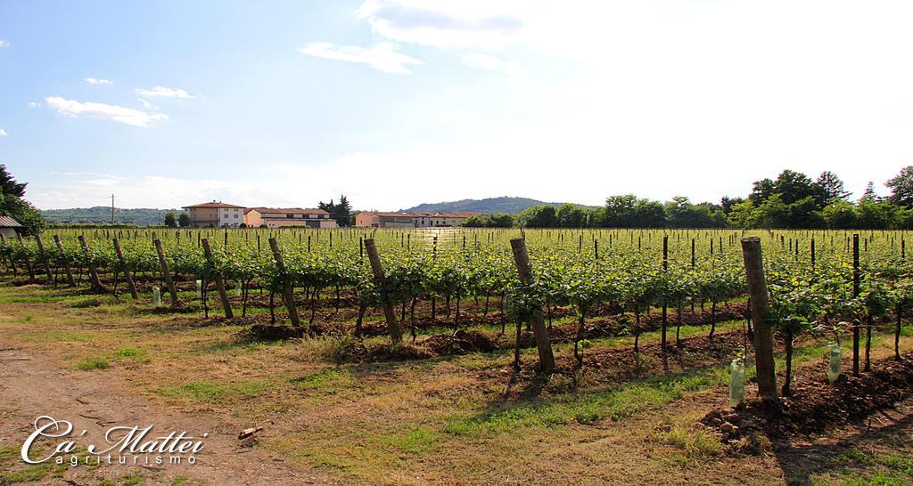 Agriturismo Ca'Mattei Pescantina Exteriör bild